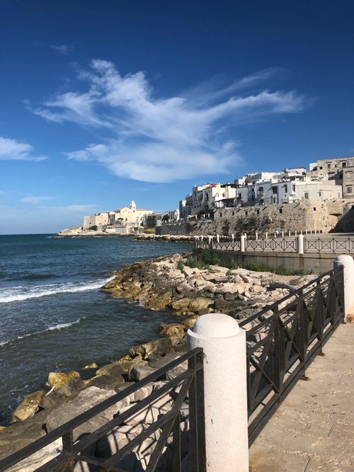Free Explore the stunning coastline of Vieste with its old town charm and beautiful seascape. Stock Photo