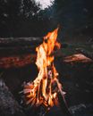 Burning Wood on Fire Pit