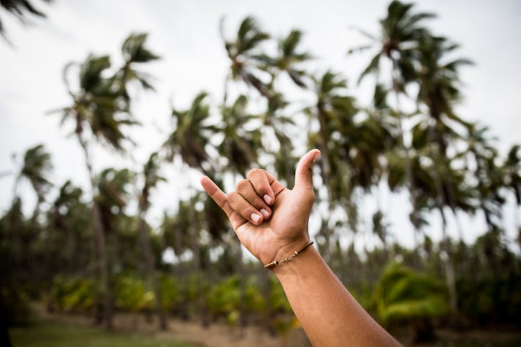 Selective Focus Of Person's Hand Doing Yolo SIgn 