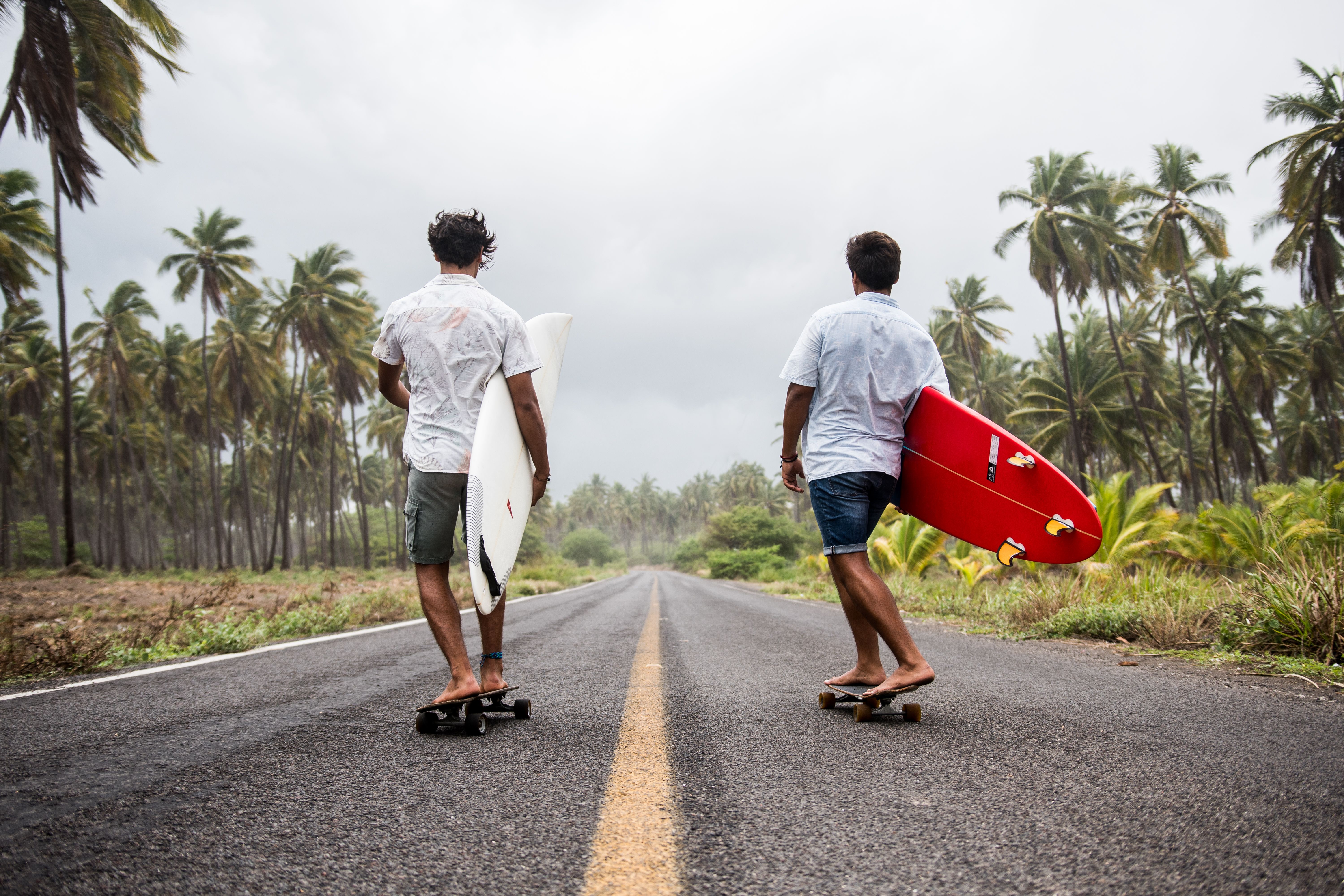 Two young men skateboarding with surfboards on a tropical road lined with palm trees.