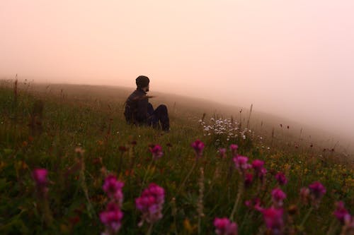 Photograph of a Man Sitting Near Pink Flowers