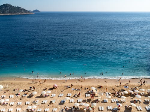 Drone Shot of People on a Beach with Brown Sand