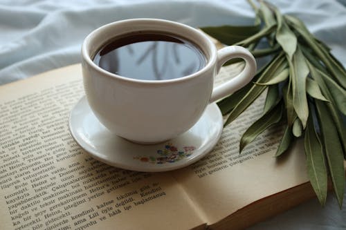 Free Close-Up Photograph of a Cup of Coffee on a White Saucer Stock Photo