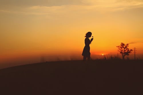 Photos gratuites de à contre-jour, coucher de soleil, femme