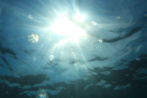 Free Sun Seen from Underwater Stock Photo