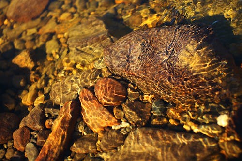 Brown and Black Stone on Water