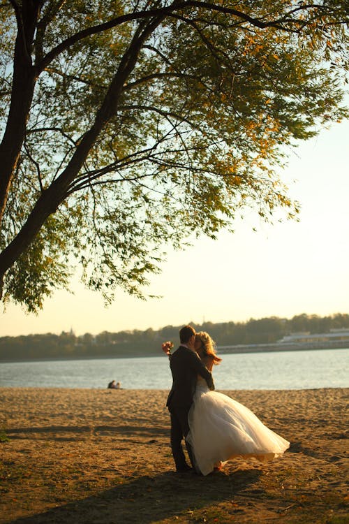 Photos gratuites de arbre, couple, embrasser