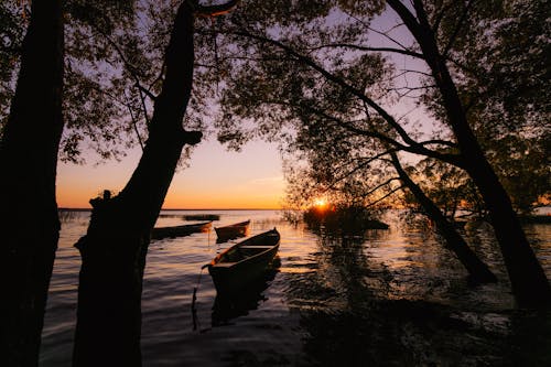 Immagine gratuita di alberi, barche, fiume