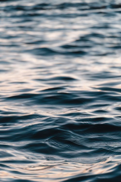 Free A close-up view of gentle ocean waves reflecting the warm colors of sunset, evoking a sense of tranquility and peace. Stock Photo