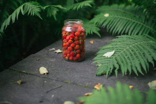 Close-Up Shot of Red Berries in a Glass Jar