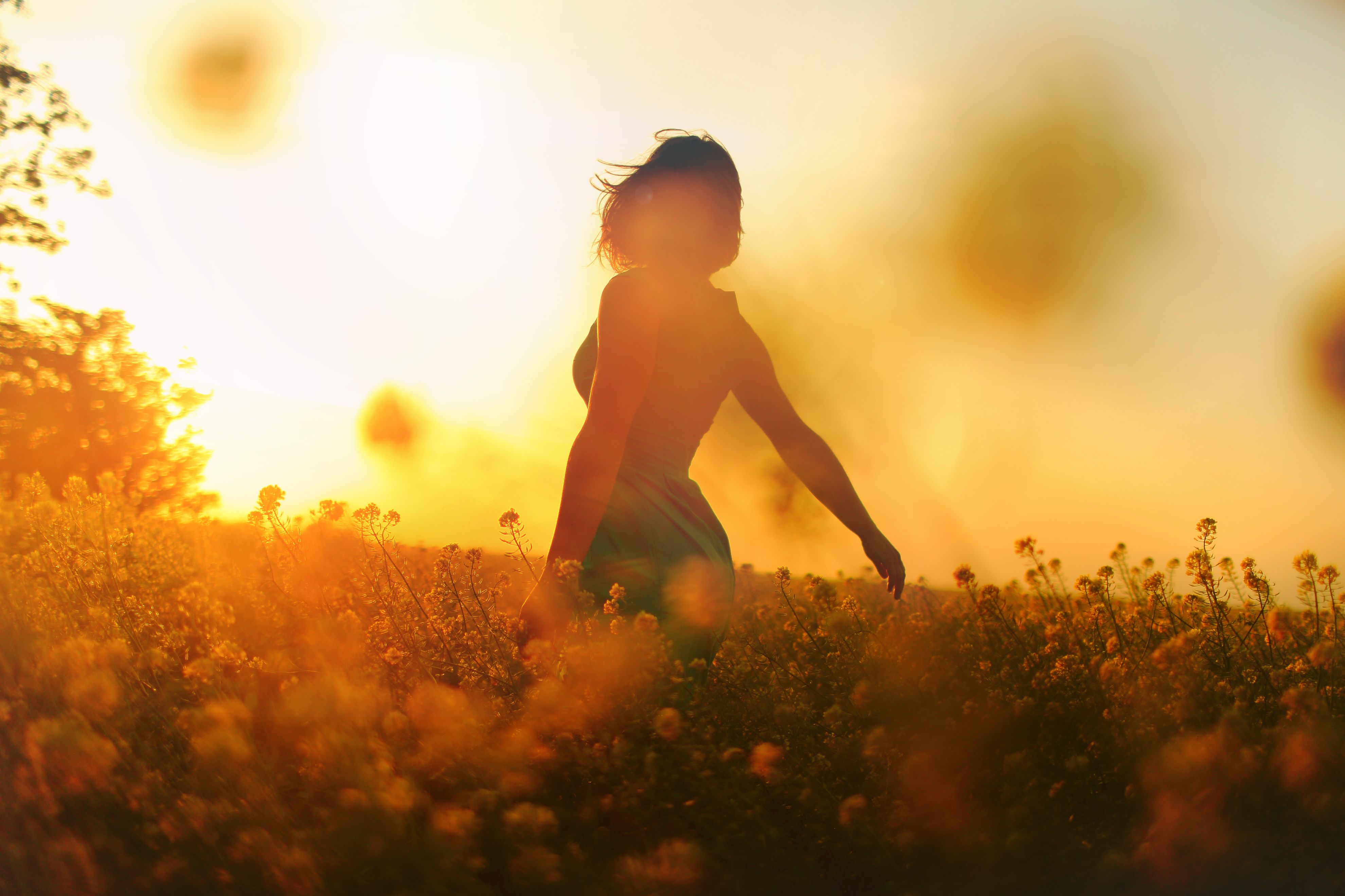 Silhouette of Woman on Flower Field during Sunset · Free Stock Photo