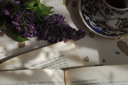 Close-Up Photo of Lilac Flowers near a Book