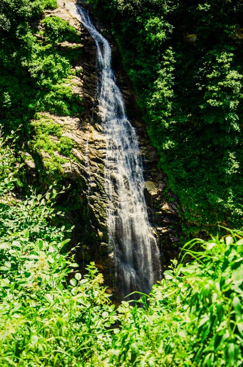 Free A breathtaking waterfall cascading through lush greenery in Rize, Türkiye. Stock Photo