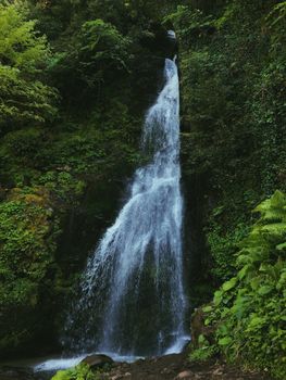 Cascading waterfall amidst dense forest greenery offers a serene natural escape.