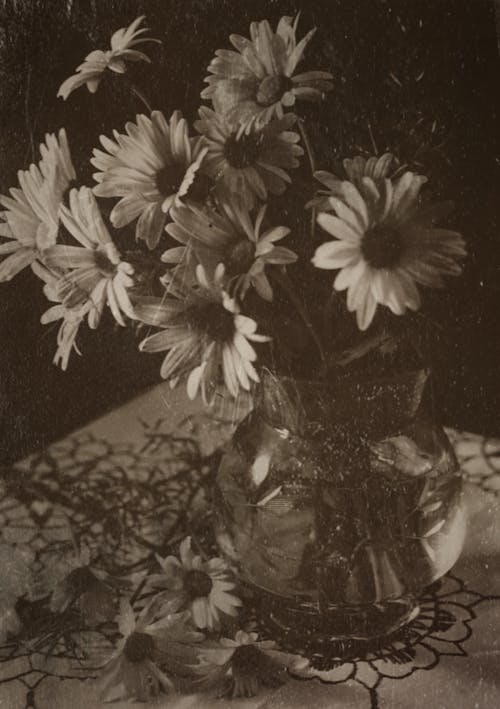 Greyscale Photo of Flowers in Clear Glass Vase