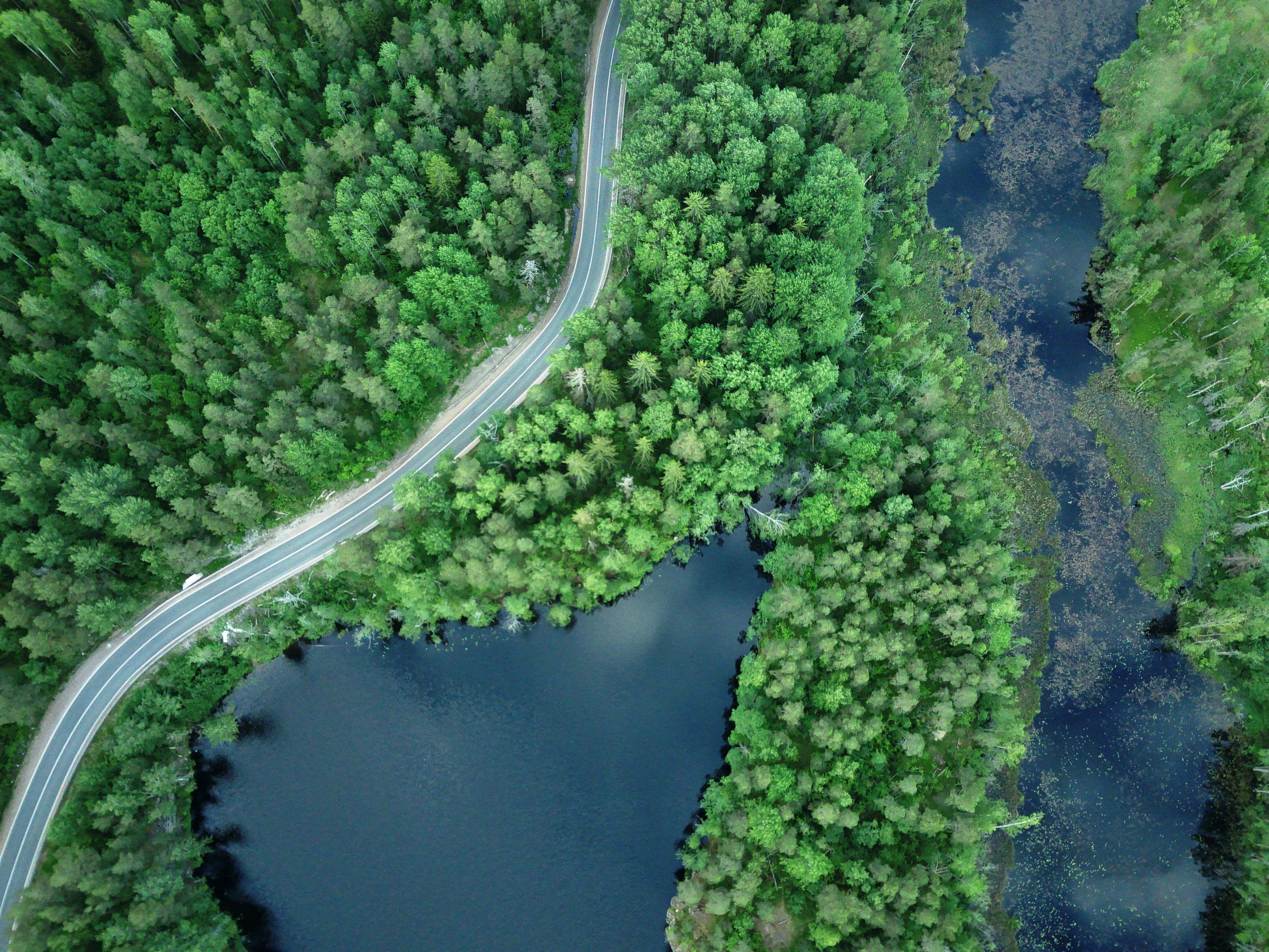 IT and Environmental, Social, and Corporate Governance (ESG), Part One: A CEO and Board Concern — Photo by Boris B on Pexels