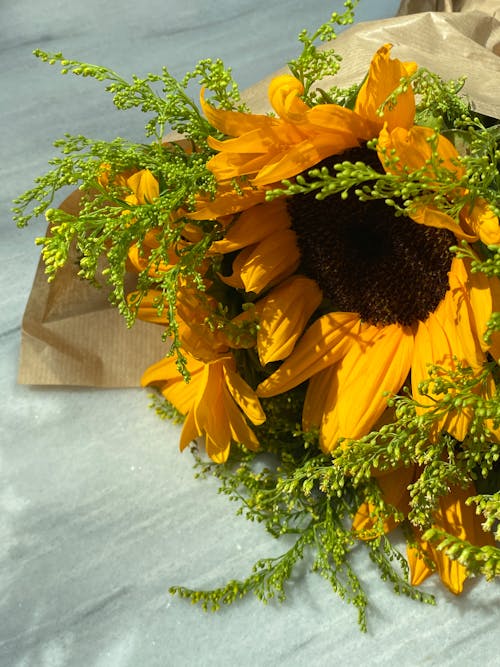 Close-up Photo of a Sunflower 