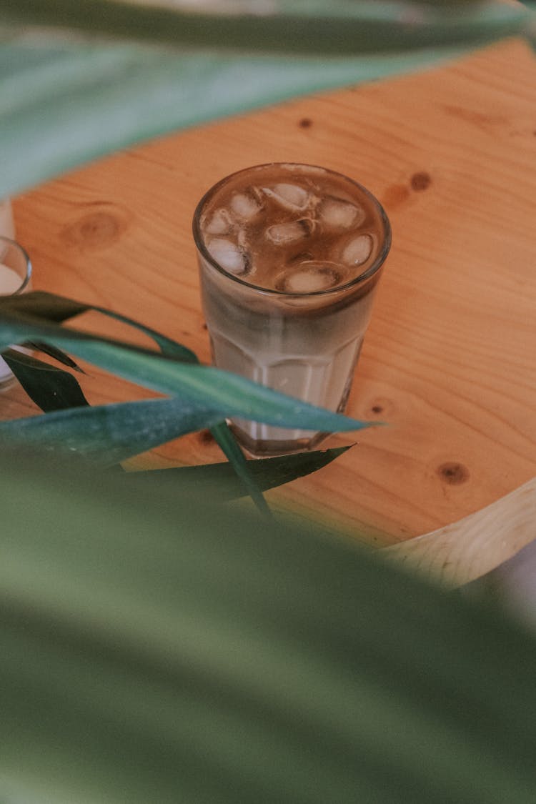 Glass Of Ice Coffee Near Plant