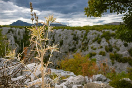 Ingyenes stockfotó croati, hegyek, tájkép témában