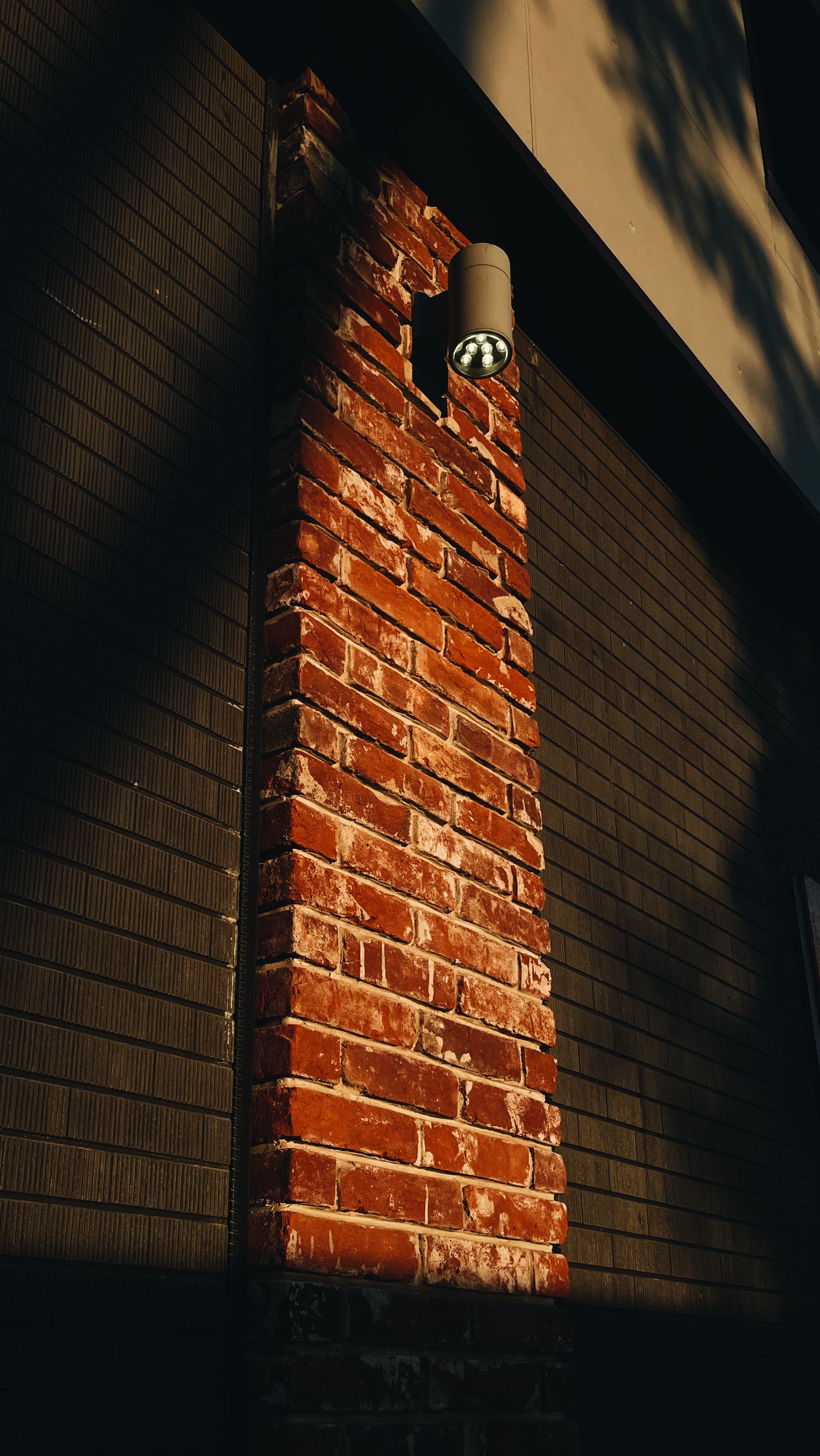 Thumbnail for Textured Building Shells