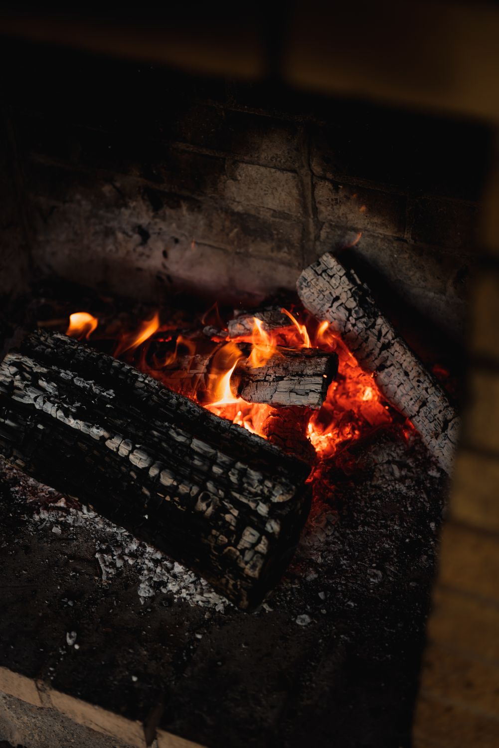 Burning Firewood on Fire Pit · Free Stock Photo