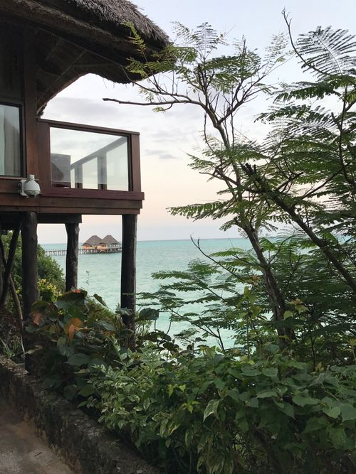 Free A serene oceanfront villa surrounded by lush greenery in Kaskazini B, Tanzania. Stock Photo