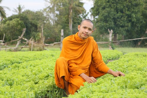 Free Photograph of a Monk Farming Stock Photo