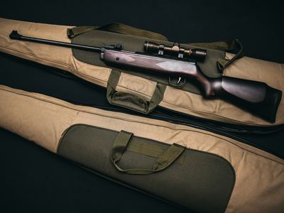 Air Rifles