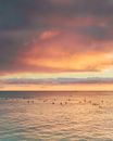 People on Beach during Sunset