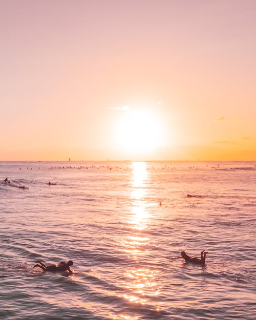 Free People Surfing on the Sea during Sunset Stock Photo
