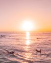 Woman in Black Bikini Lying on Beach during Sunset