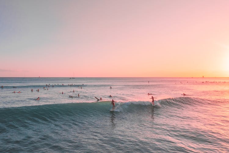 People Surfing On The Sea During Sunset