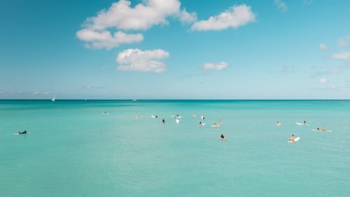 People Surfing on Sea 