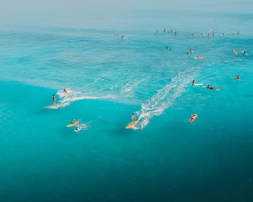 People Surfing on the Sea