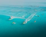 People Surfing on Sea
