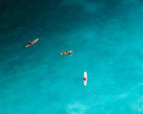 Top View of People in their Surfboard in the Sea