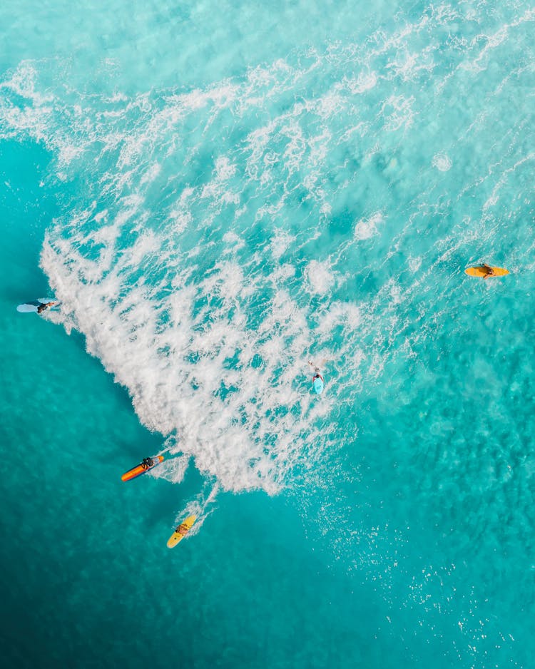 People Surfing At The Sea