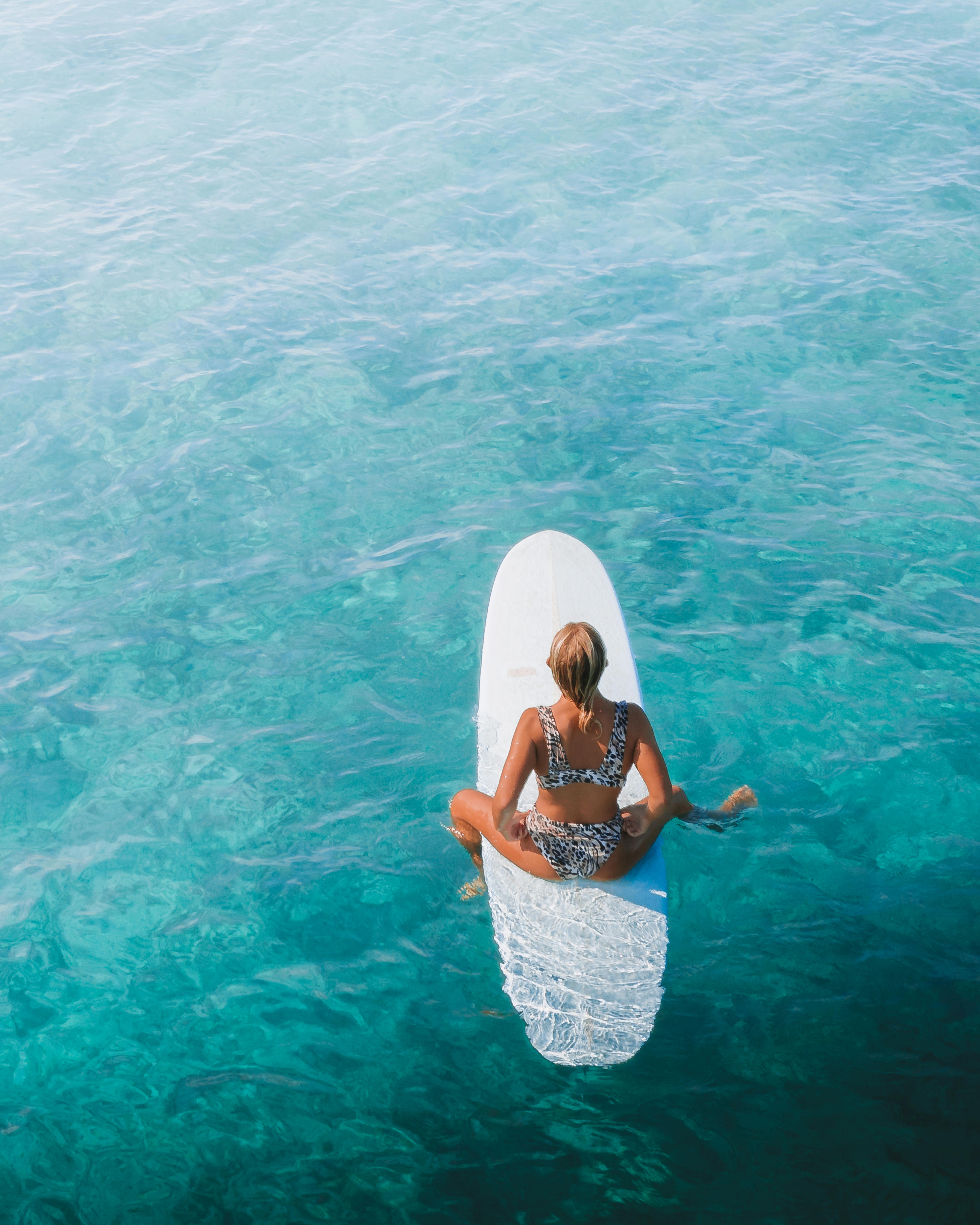 A Woman in Leopard Bikini Sitting on a Surfboard ?? Free Stock Photo
