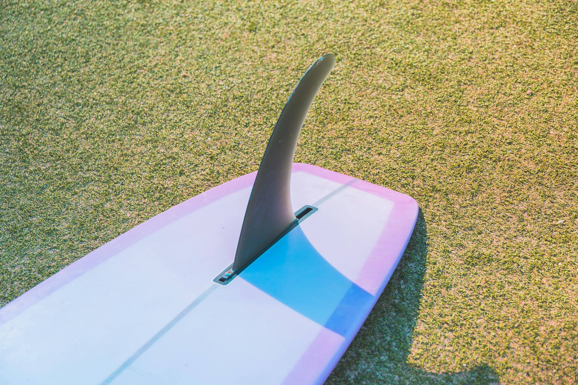 Photograph of a Surfboard on the Grass