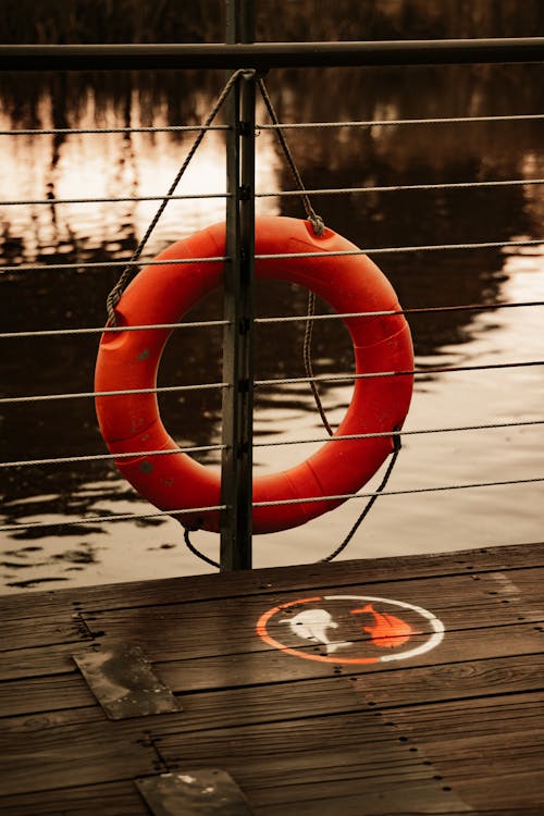 Immagine gratuita di acqua, corda, lago