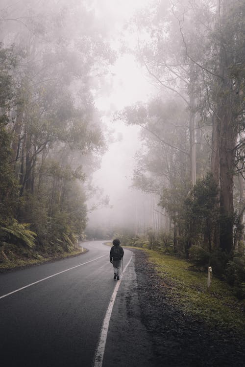 Person in a Black Jacket Walking on a Road During a Foggy Weather