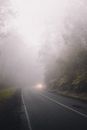 Tarmac Road covered with Fog