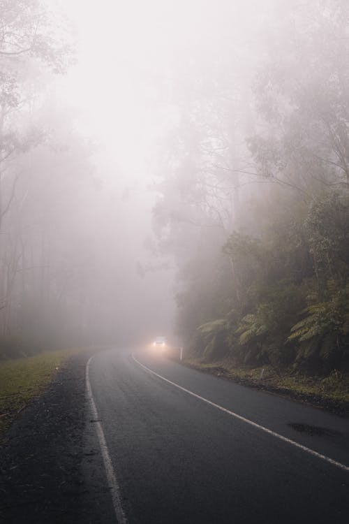 Free Tarmac Road covered with Fog Stock Photo