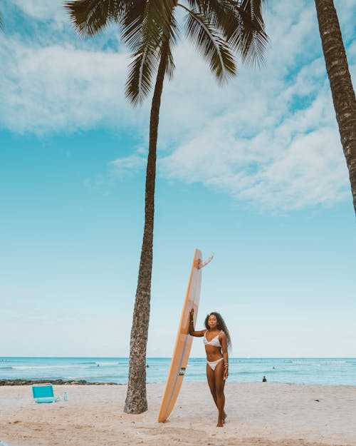 bezplatná Základová fotografie zdarma na téma bikini, dovolená, kokosová palma Základová fotografie