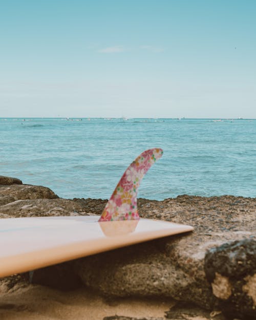 
A Surfboard with a Floral Fin