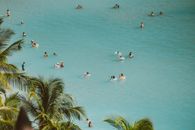 People Swimming on Sea