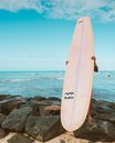 White Surfboard on Rocky Shore