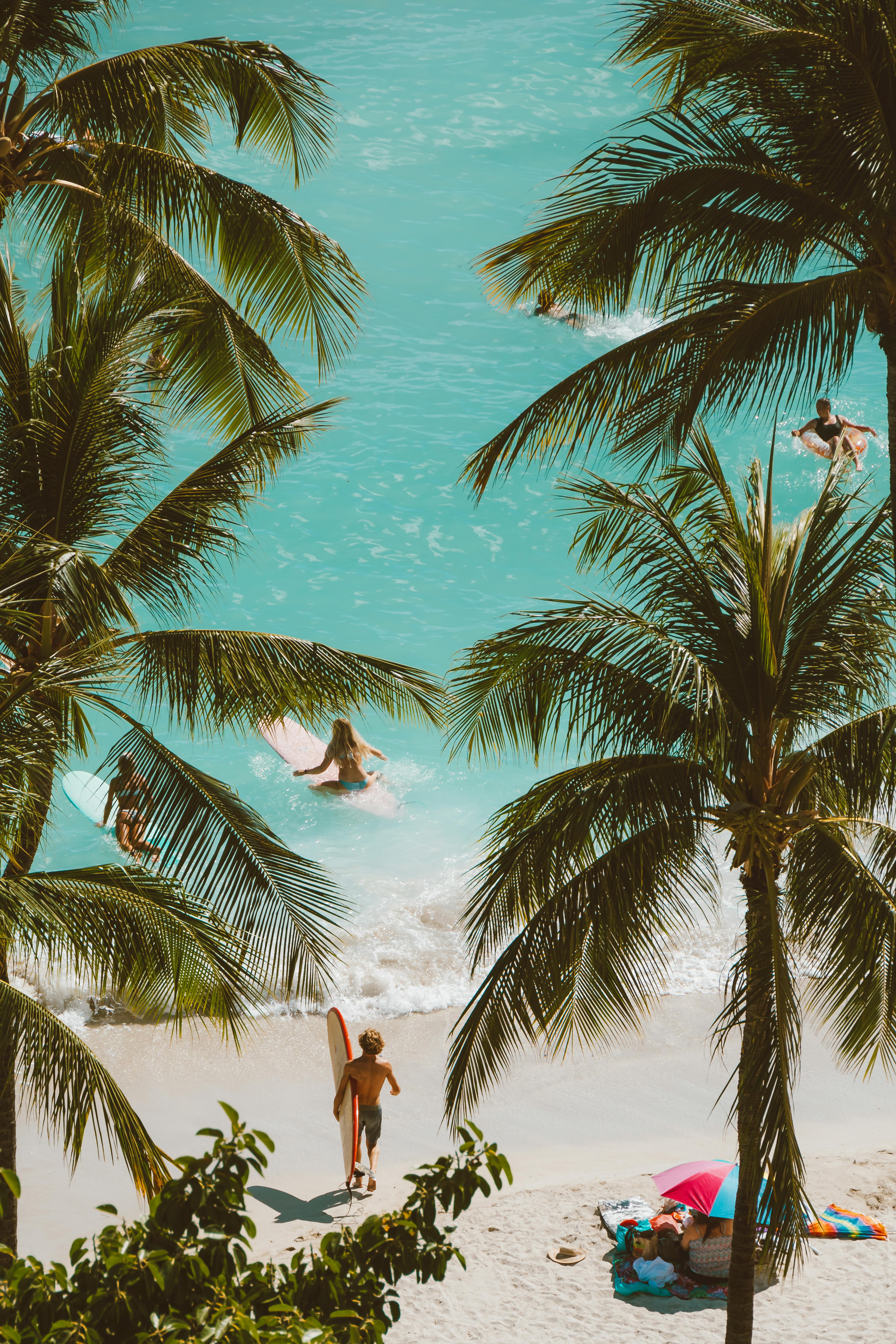 俯瞰热带海滩，棕榈树和冲浪者享受海浪