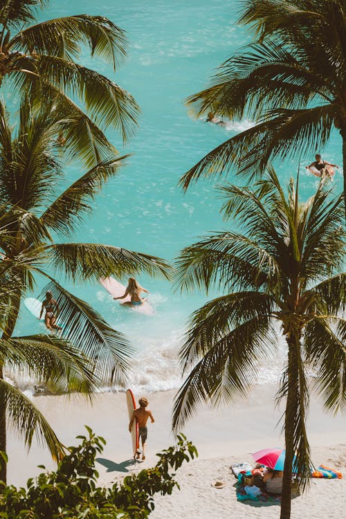 Surfers at the Beach 