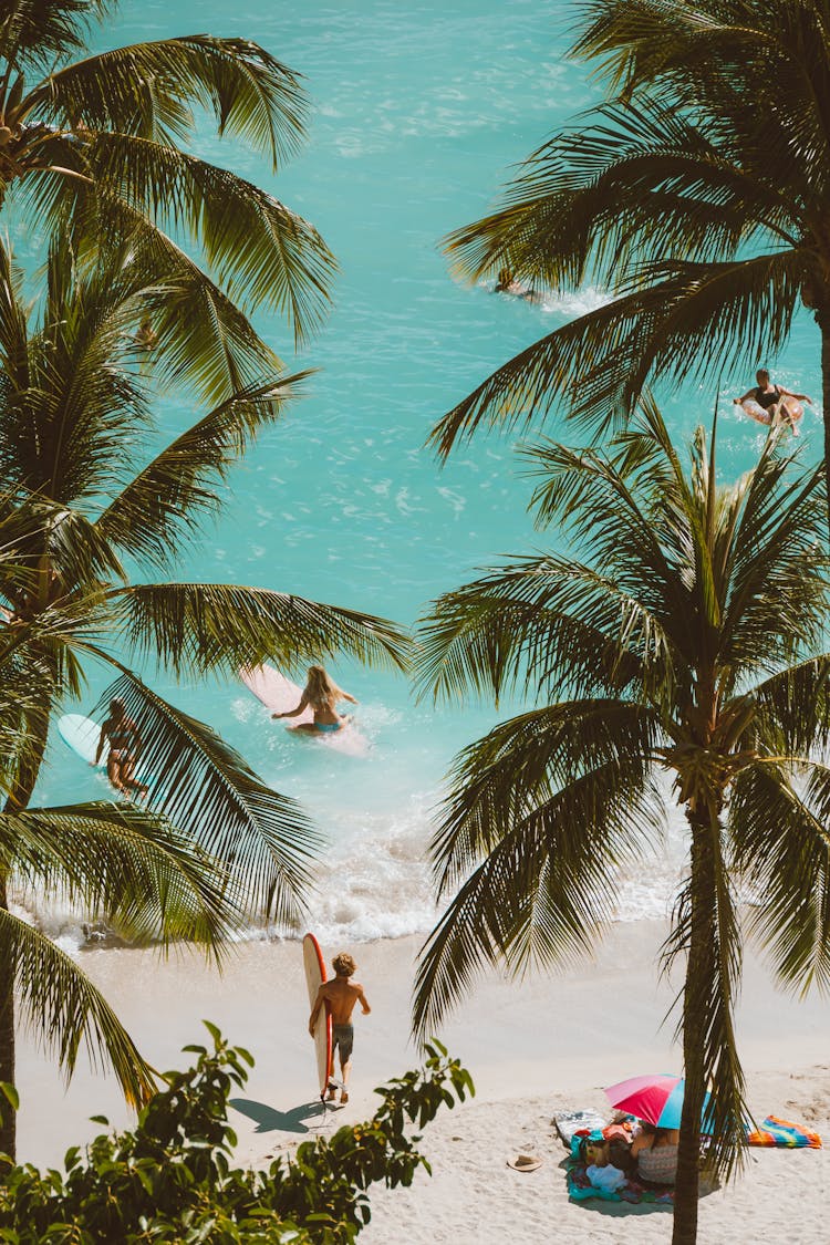 Surfers At The Beach 